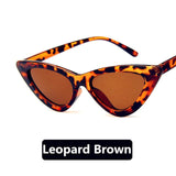 CURTAIN 2019 Hot Fashion Cute Sexy Ladies Cat Eye Sunglasses Women Vintage Brand Small Sun Glasses Female Oculos de sol UV400